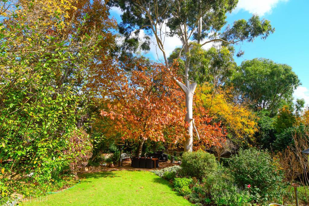 Gooseberry Hill Possum Creek Lodge מראה חיצוני תמונה