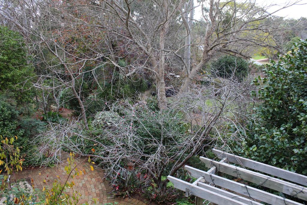 Gooseberry Hill Possum Creek Lodge חדר תמונה
