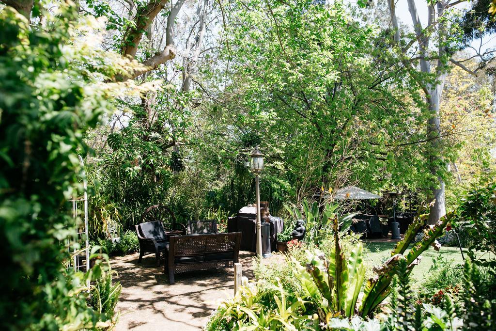 Gooseberry Hill Possum Creek Lodge מראה חיצוני תמונה